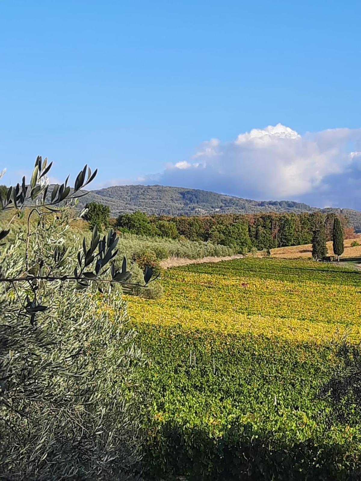 Agriturismo Circugnano Grassina ภายนอก รูปภาพ