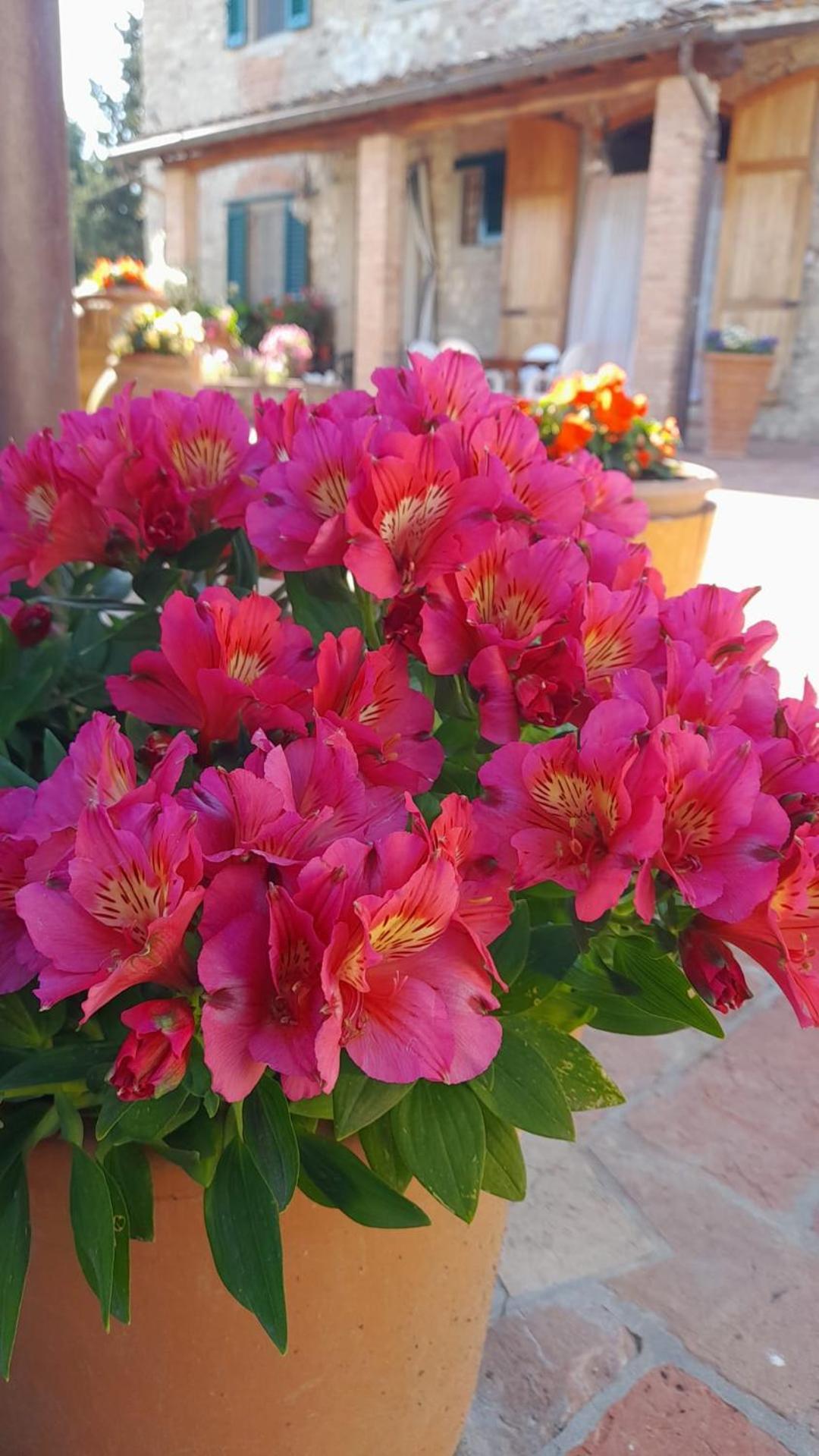 Agriturismo Circugnano Grassina ภายนอก รูปภาพ