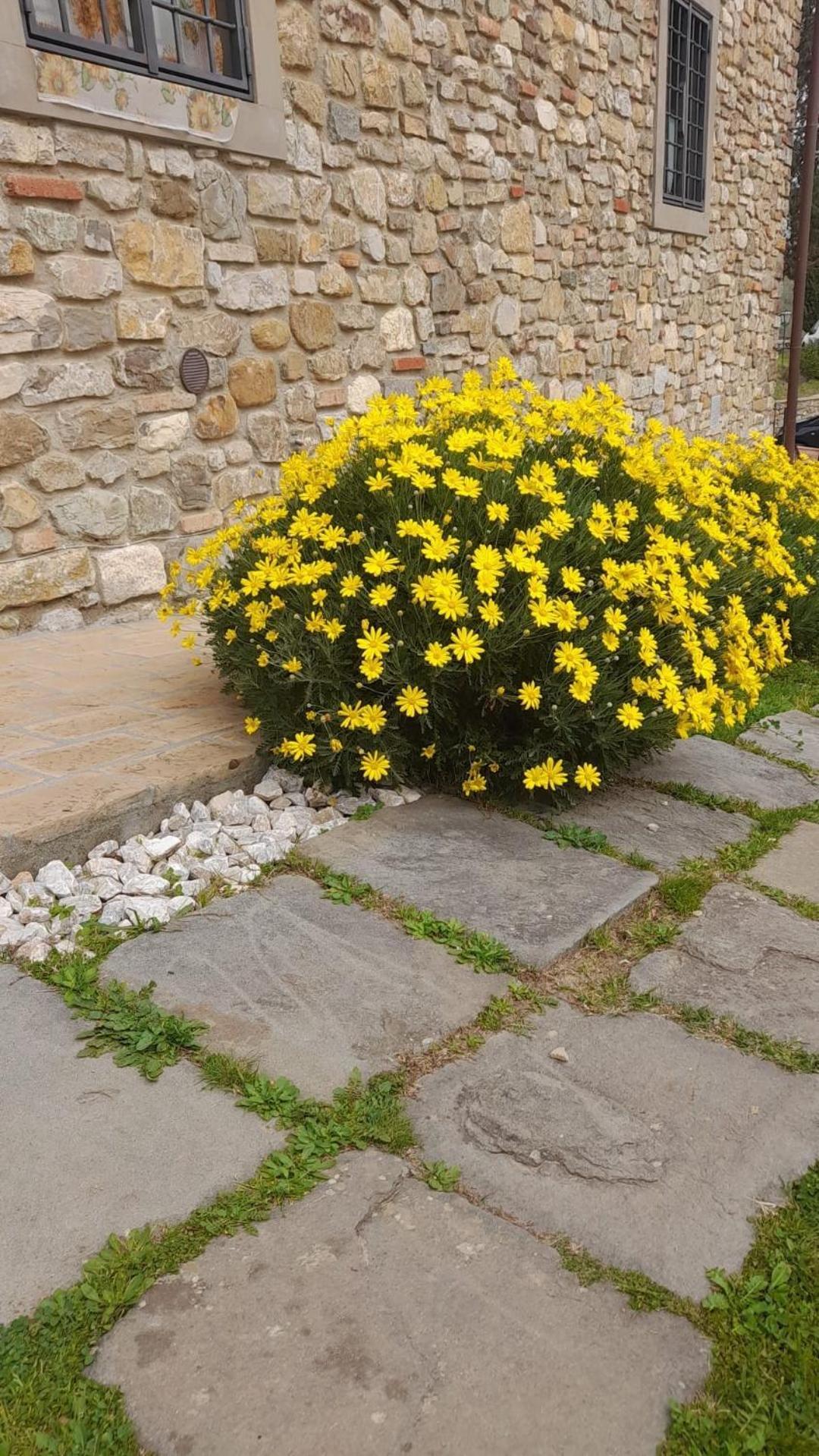 Agriturismo Circugnano Grassina ภายนอก รูปภาพ