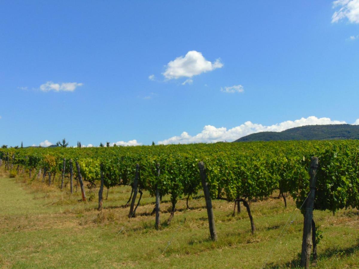 Agriturismo Circugnano Grassina ภายนอก รูปภาพ